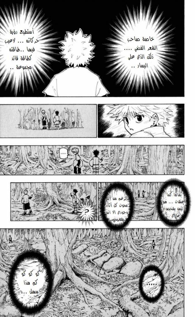 Hunter x Hunter: Chapter 231 - Page 4
