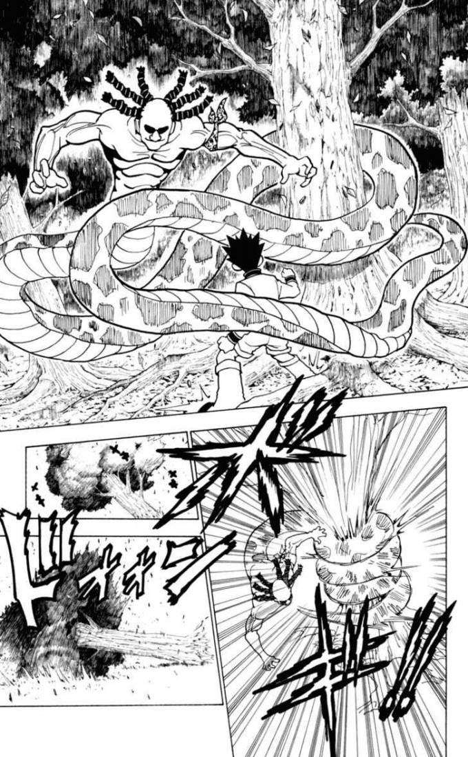 Hunter x Hunter: Chapter 231 - Page 10