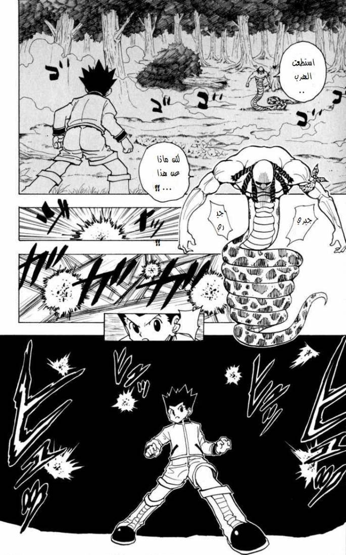 Hunter x Hunter: Chapter 231 - Page 11