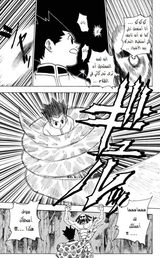 Hunter x Hunter: Chapter 231 - Page 12