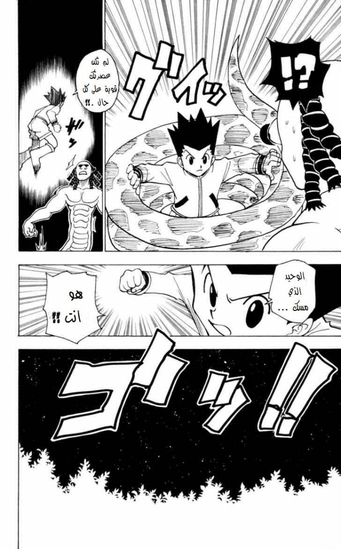 Hunter x Hunter: Chapter 231 - Page 13