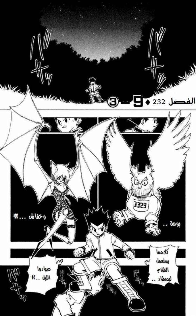 Hunter x Hunter: Chapter 232 - Page 2