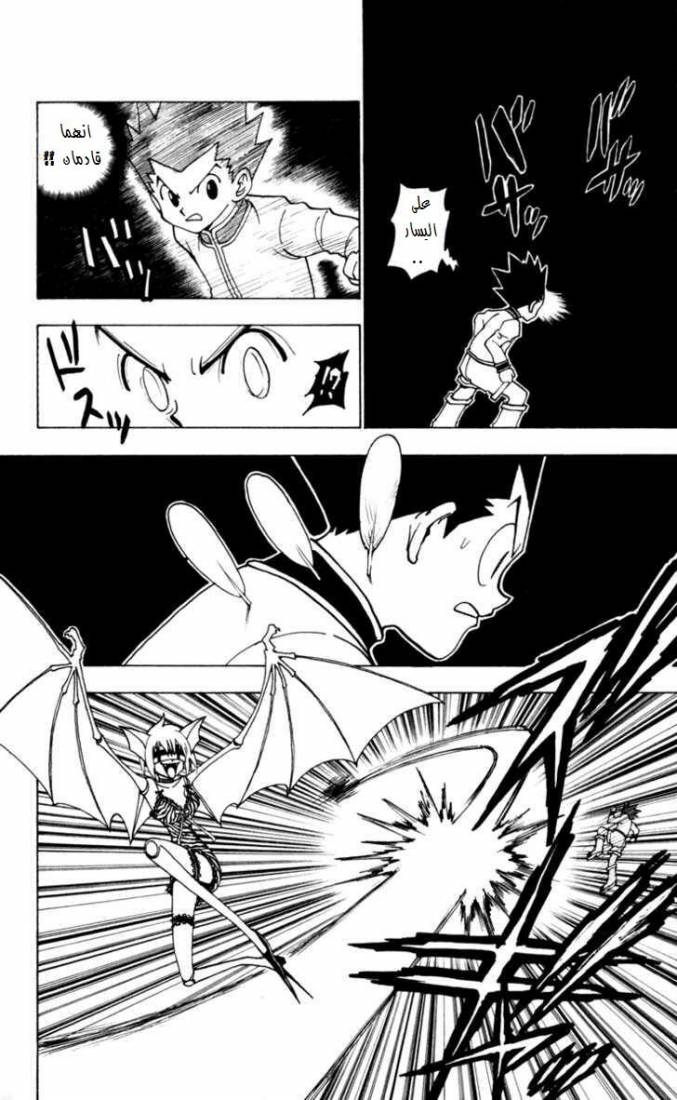 Hunter x Hunter: Chapter 232 - Page 3