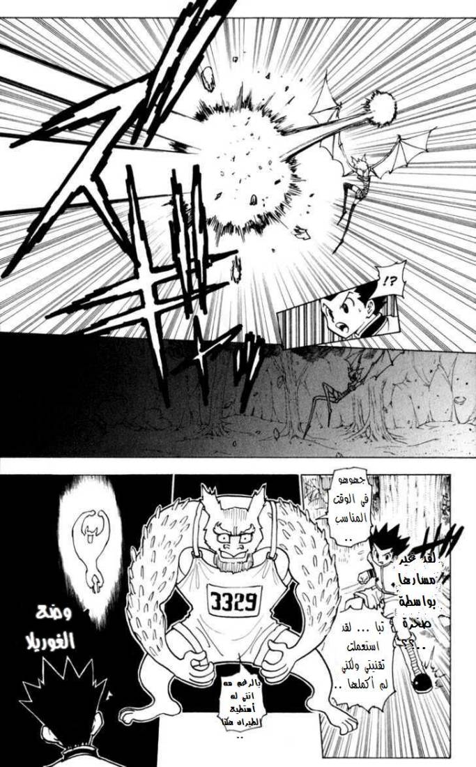 Hunter x Hunter: Chapter 232 - Page 14