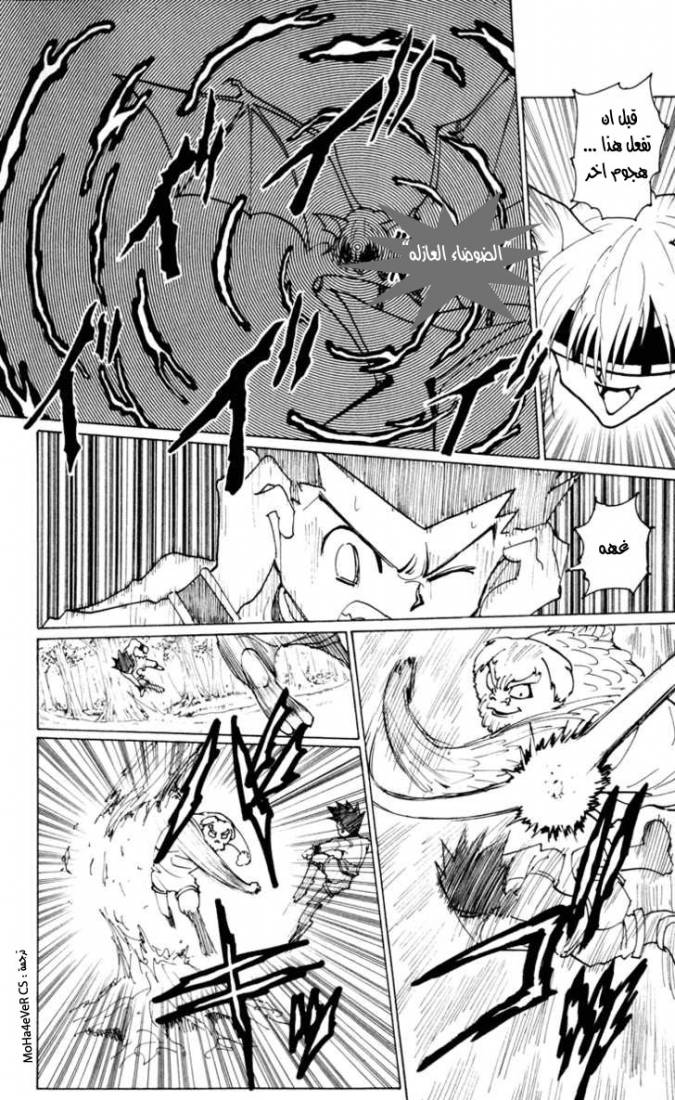 Hunter x Hunter: Chapter 233 - Page 3