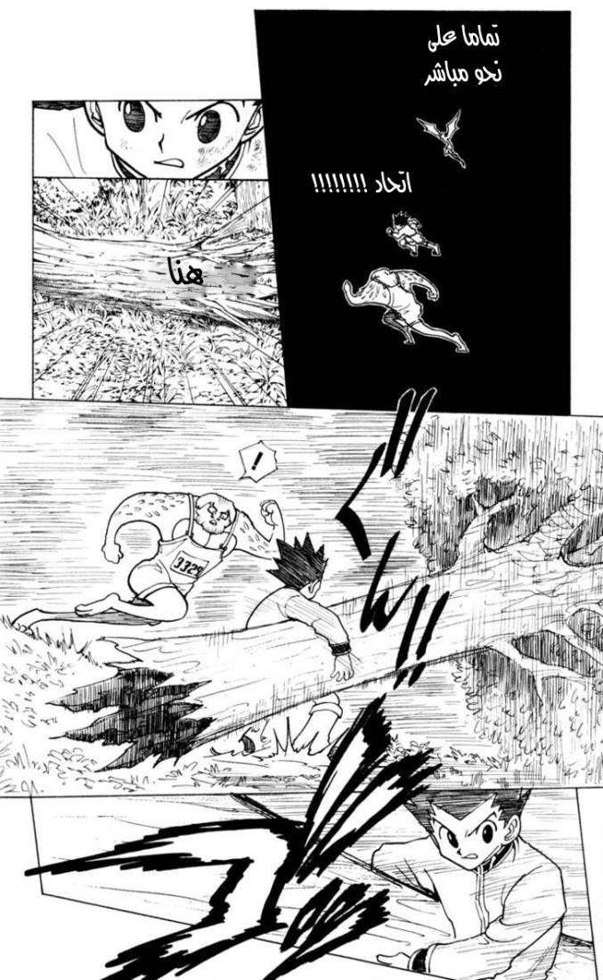 Hunter x Hunter: Chapter 233 - Page 9