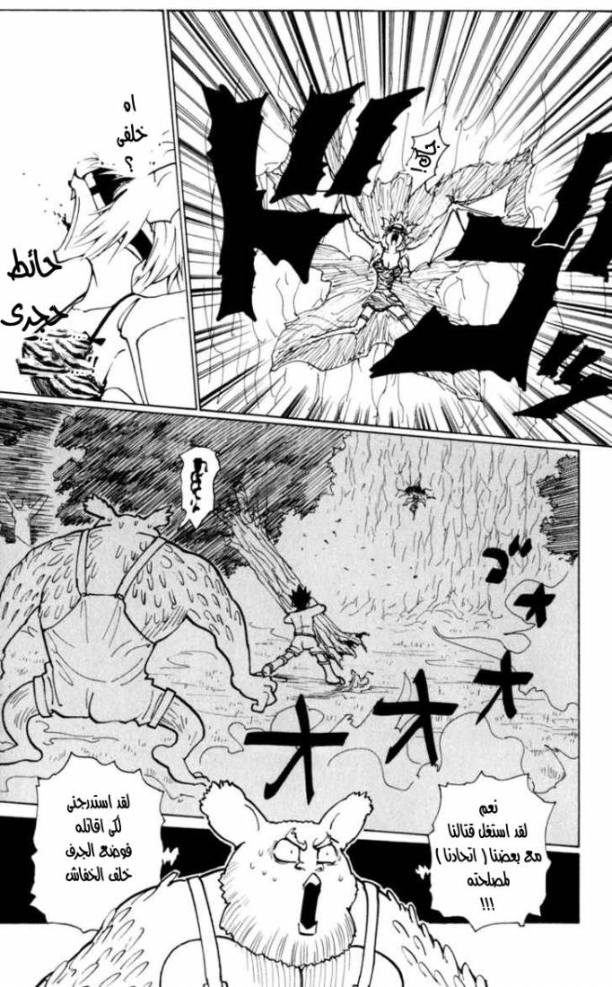 Hunter x Hunter: Chapter 233 - Page 12
