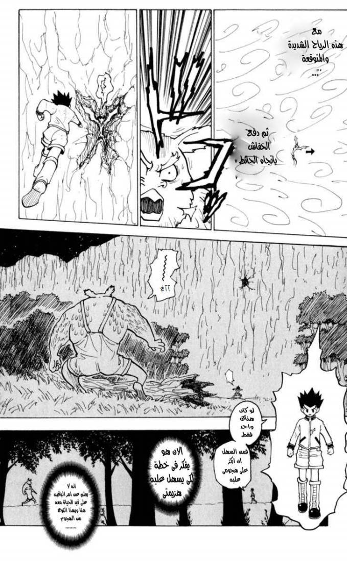 Hunter x Hunter: Chapter 233 - Page 13