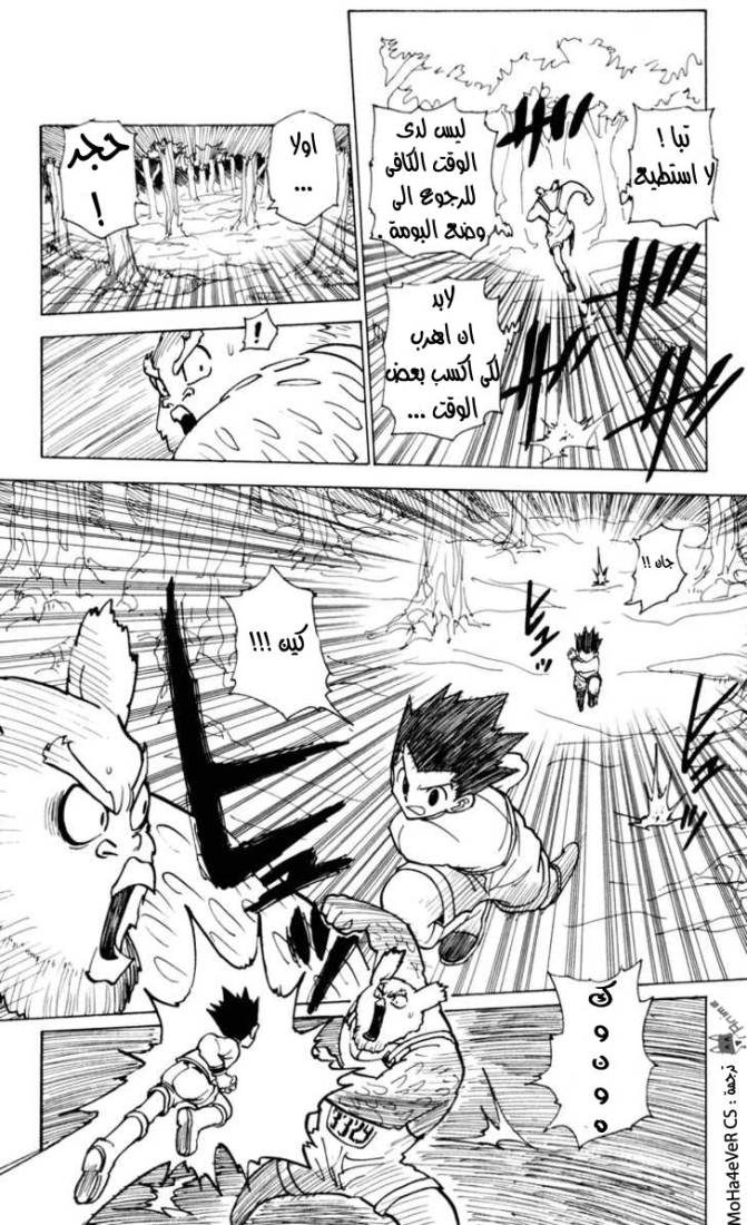 Hunter x Hunter: Chapter 233 - Page 14