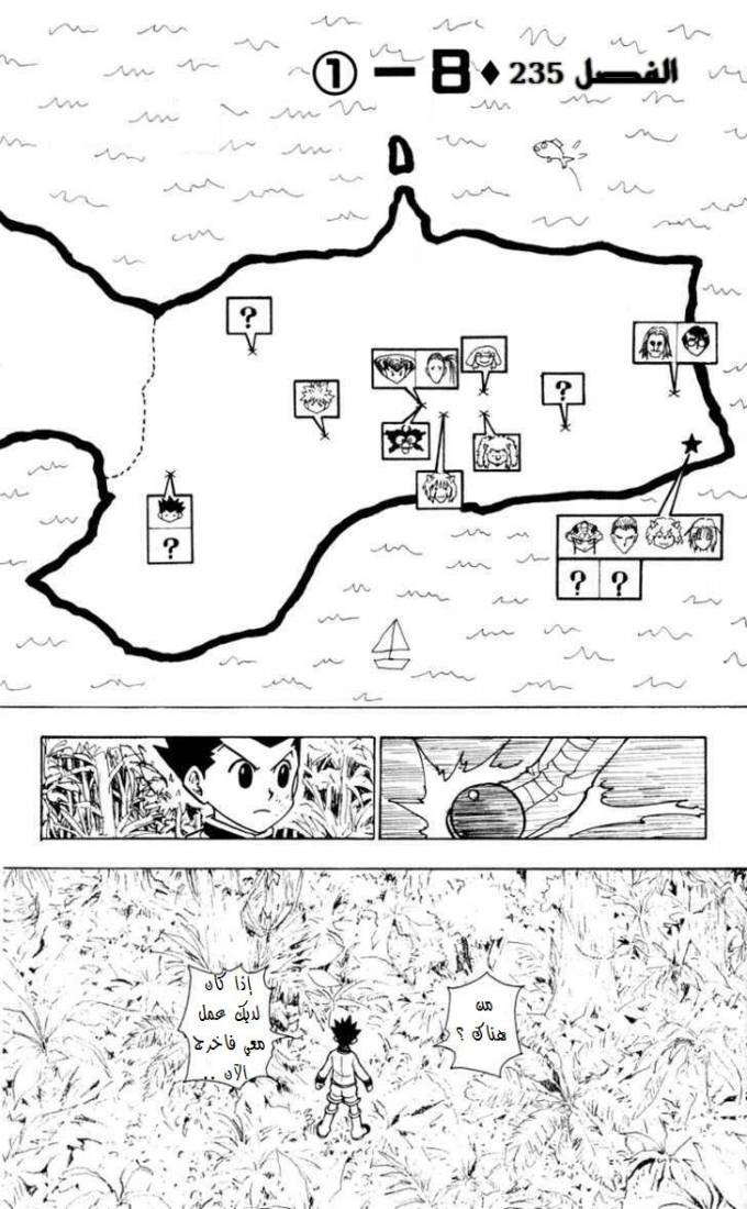 Hunter x Hunter: Chapter 235 - Page 9
