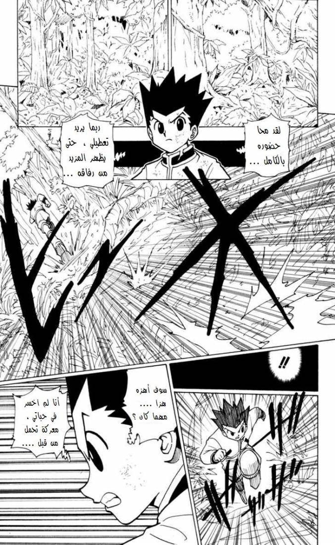 Hunter x Hunter: Chapter 235 - Page 10