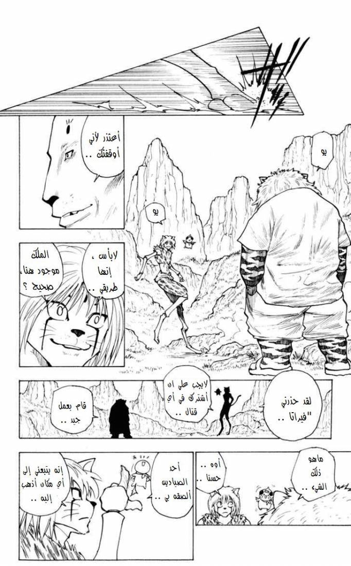Hunter x Hunter: Chapter 235 - Page 11