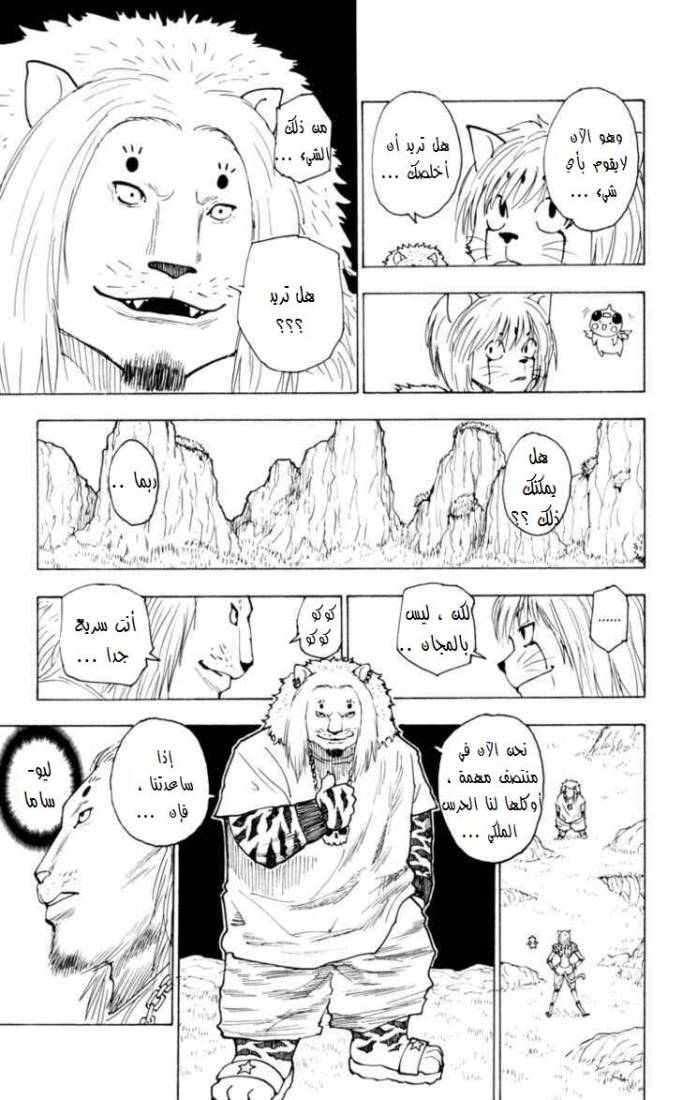 Hunter x Hunter: Chapter 235 - Page 12