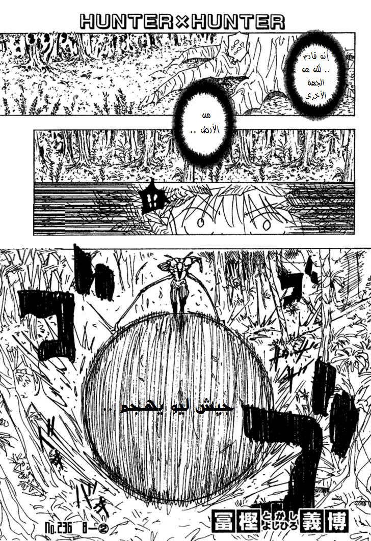 Hunter x Hunter: Chapter 236 - Page 2