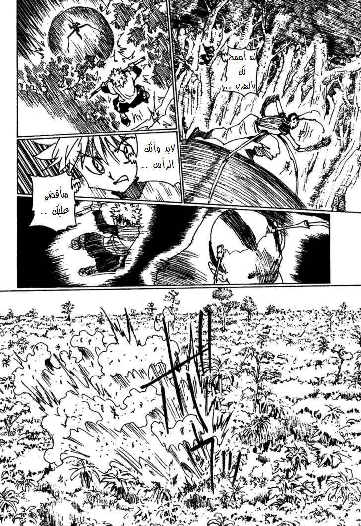 Hunter x Hunter: Chapter 236 - Page 11