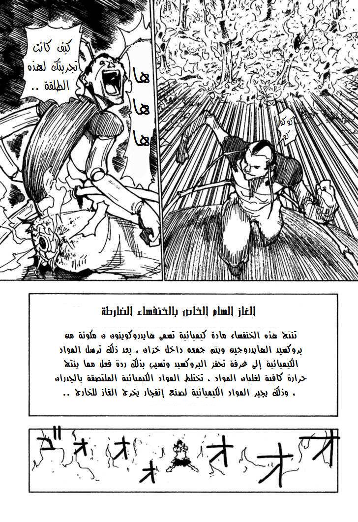 Hunter x Hunter: Chapter 236 - Page 12