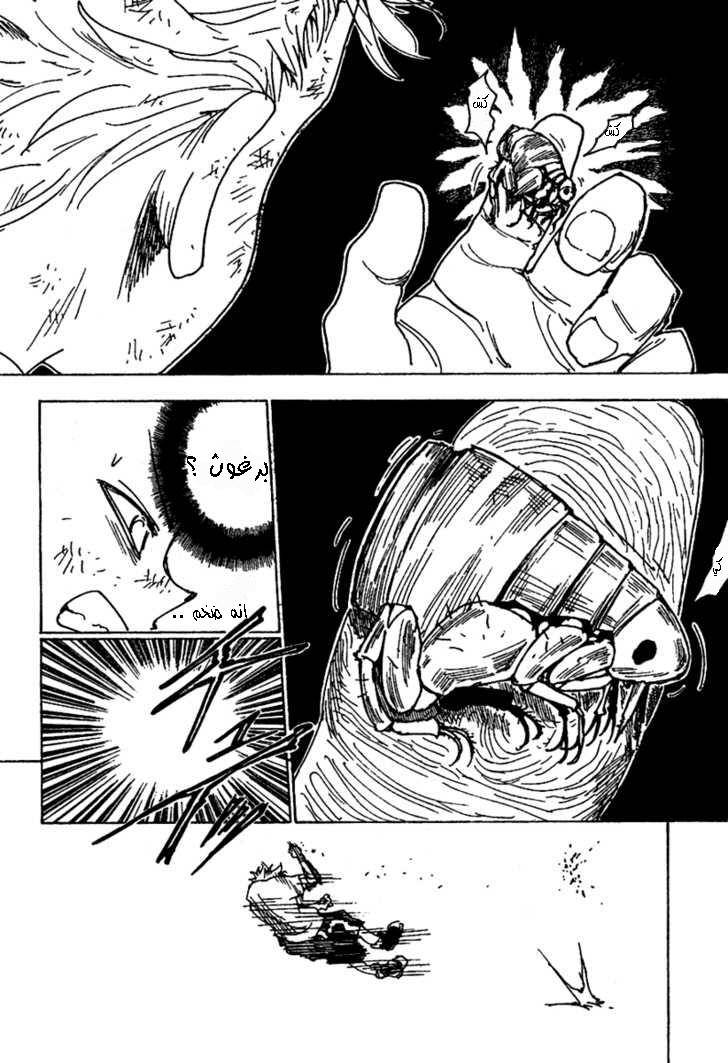 Hunter x Hunter: Chapter 236 - Page 15