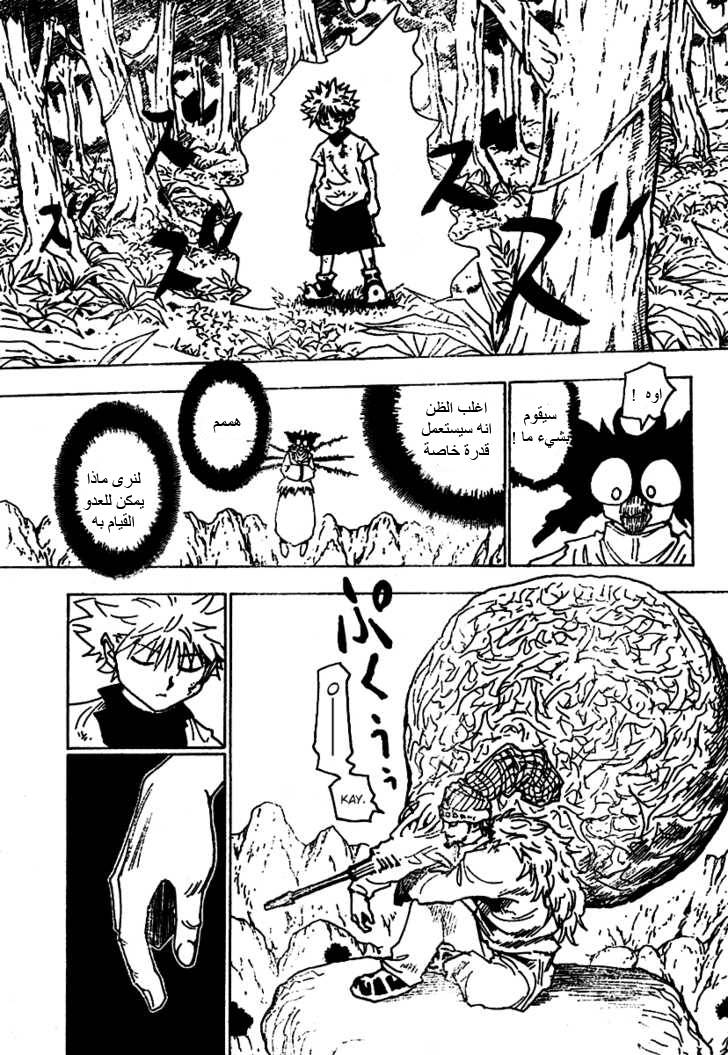 Hunter x Hunter: Chapter 237 - Page 5