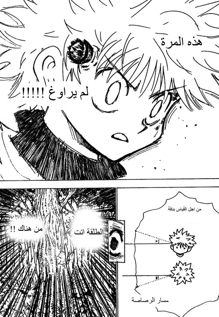 Hunter x Hunter: Chapter 237 - Page 8