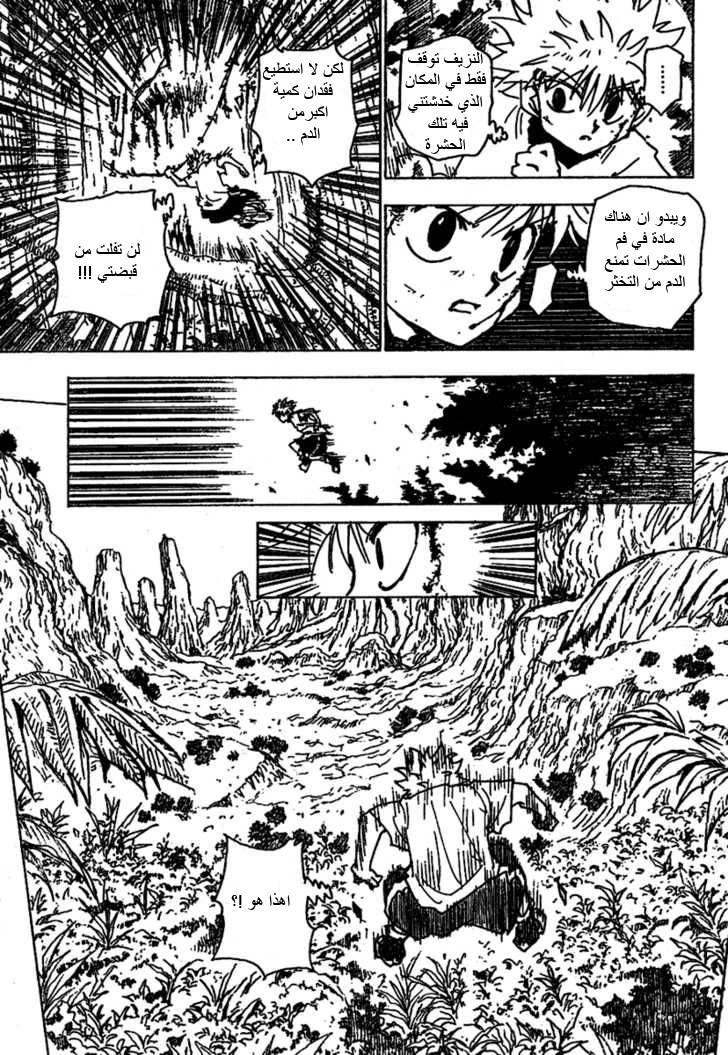 Hunter x Hunter: Chapter 237 - Page 10