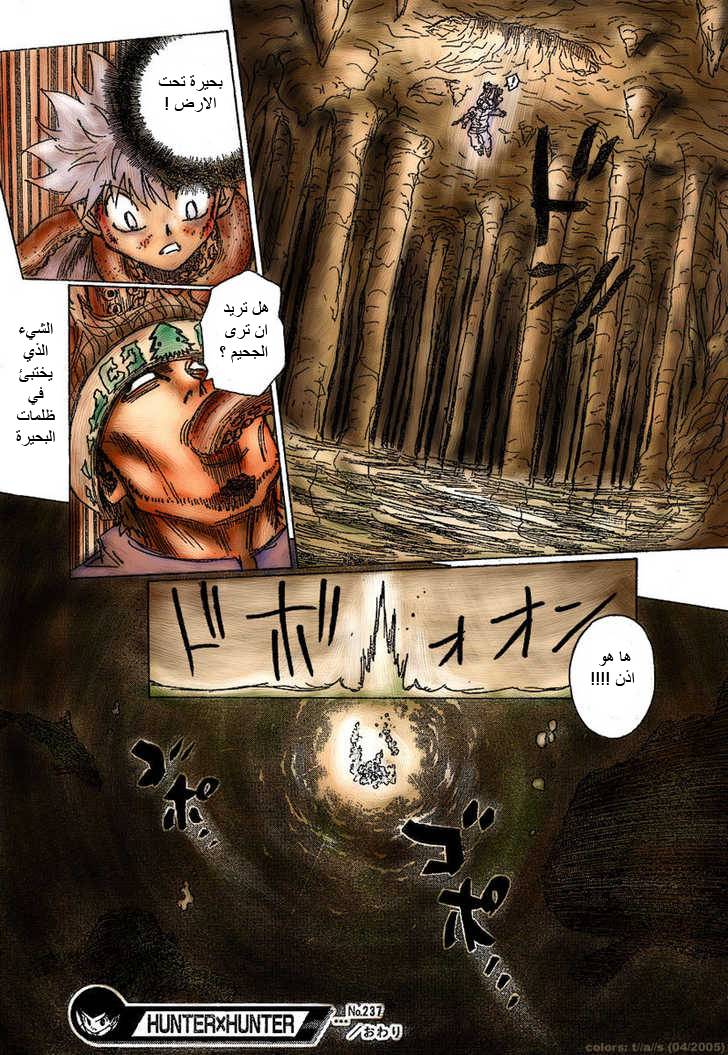 Hunter x Hunter: Chapter 237 - Page 14