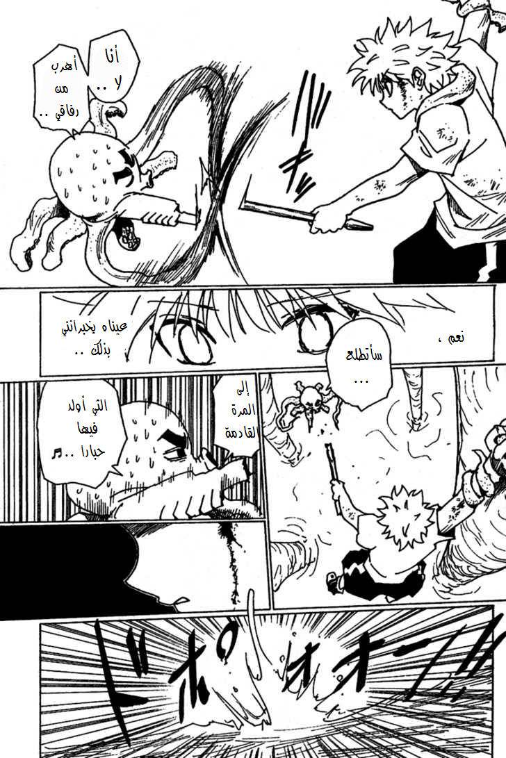 Hunter x Hunter: Chapter 238 - Page 10