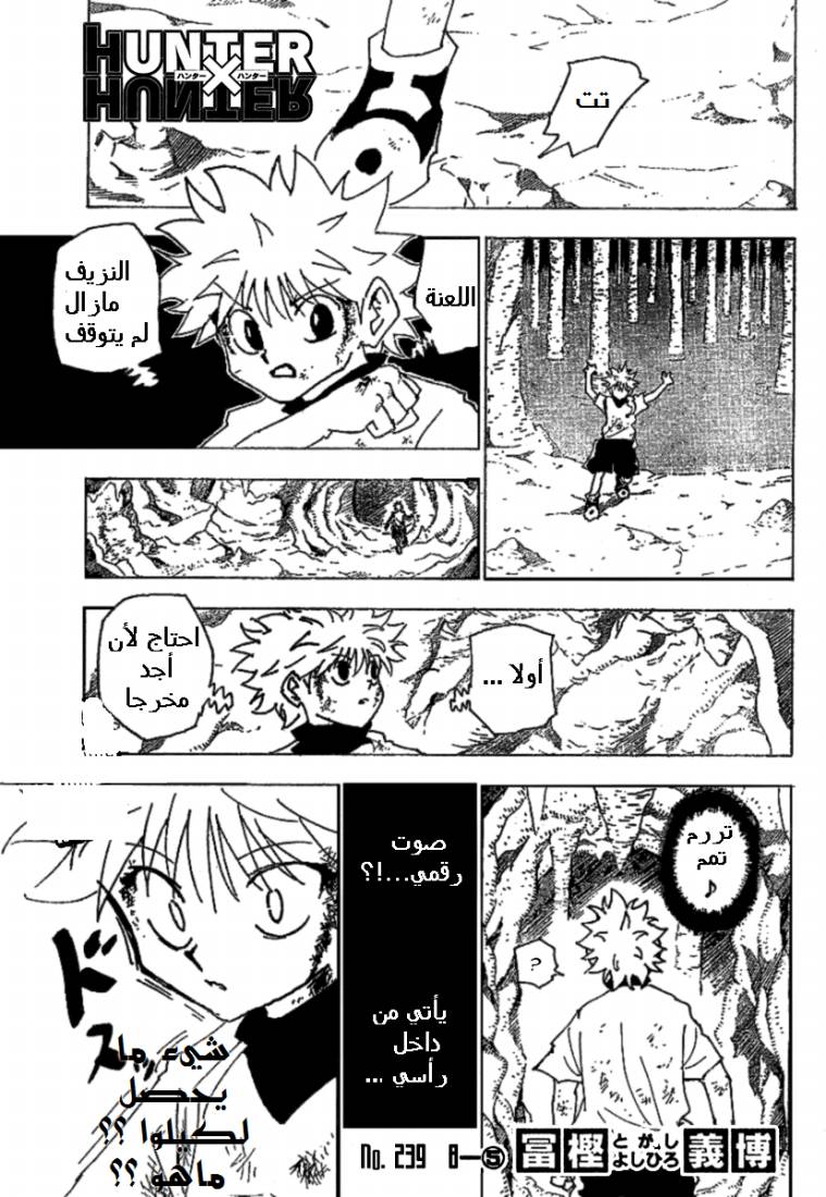 Hunter x Hunter: Chapter 239 - Page 2