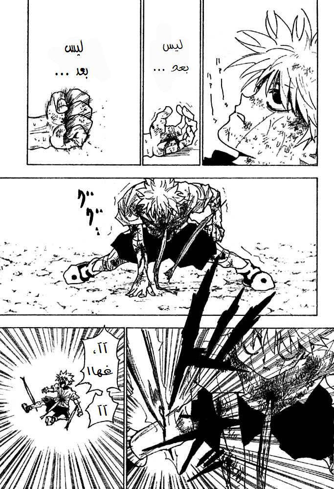 Hunter x Hunter: Chapter 240 - Page 4