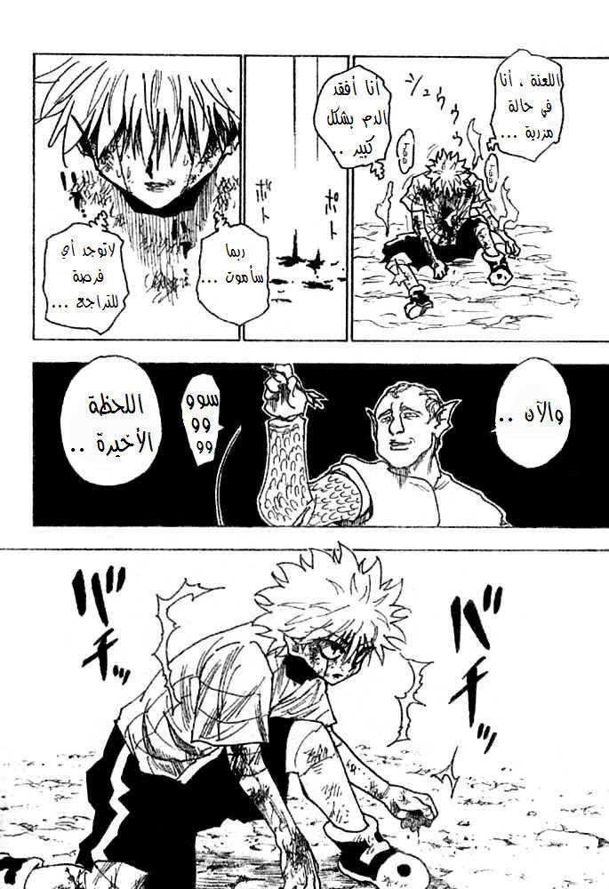 Hunter x Hunter: Chapter 240 - Page 5