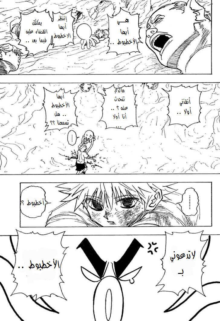 Hunter x Hunter: Chapter 241 - Page 8