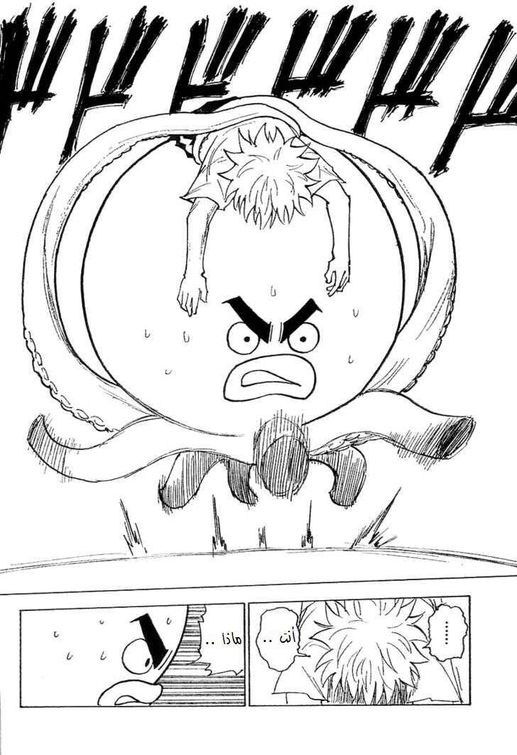 Hunter x Hunter: Chapter 241 - Page 9