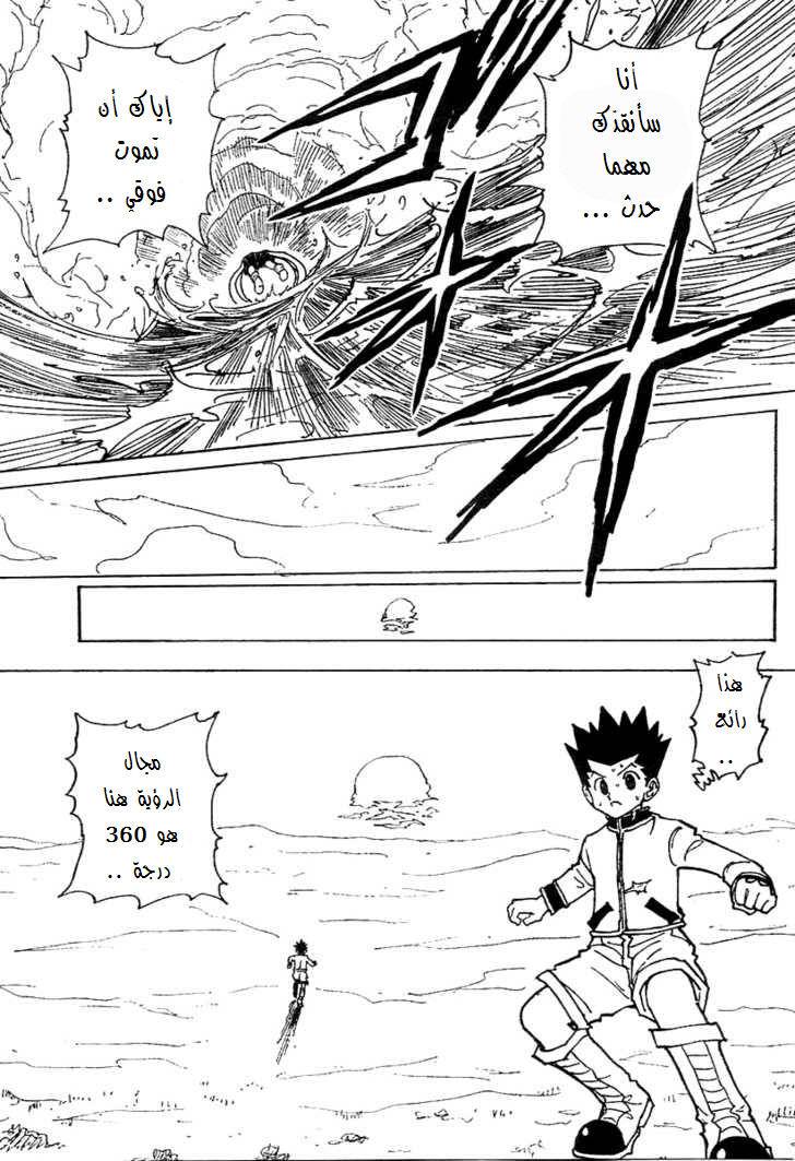Hunter x Hunter: Chapter 241 - Page 12