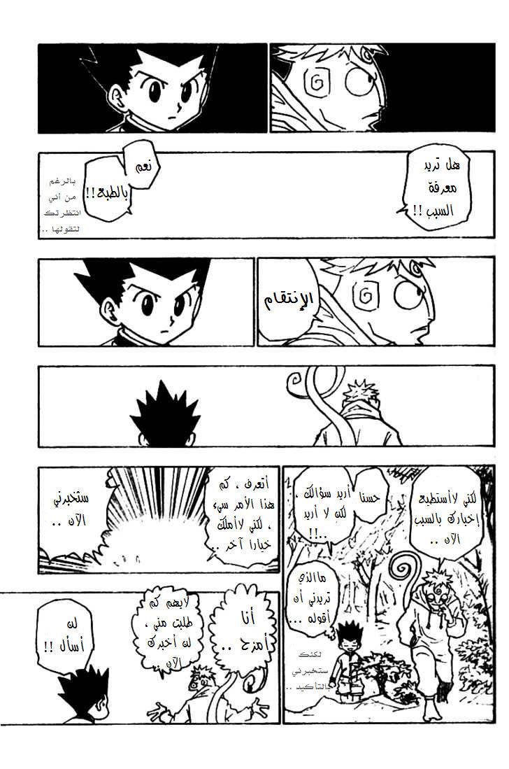 Hunter x Hunter: Chapter 242 - Page 12
