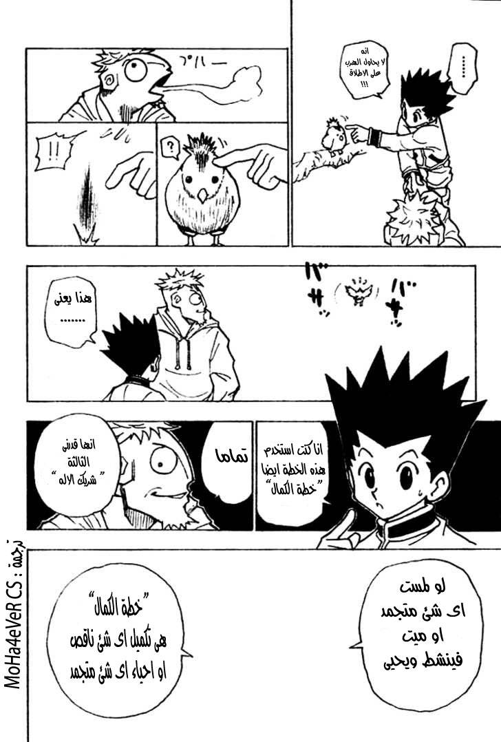 Hunter x Hunter: Chapter 243 - Page 3