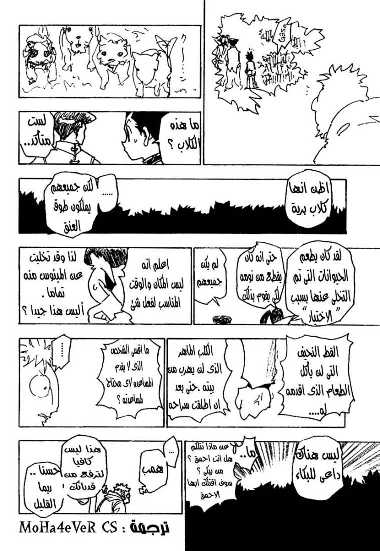 Hunter x Hunter: Chapter 244 - Page 9