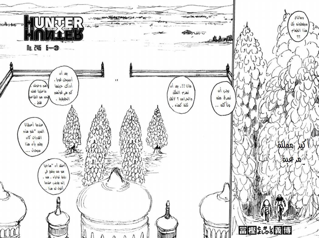 Hunter x Hunter: Chapter 246 - Page 3