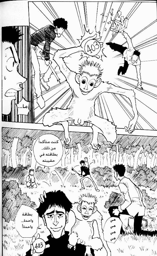 Hunter x Hunter: Chapter 25 - Page 17