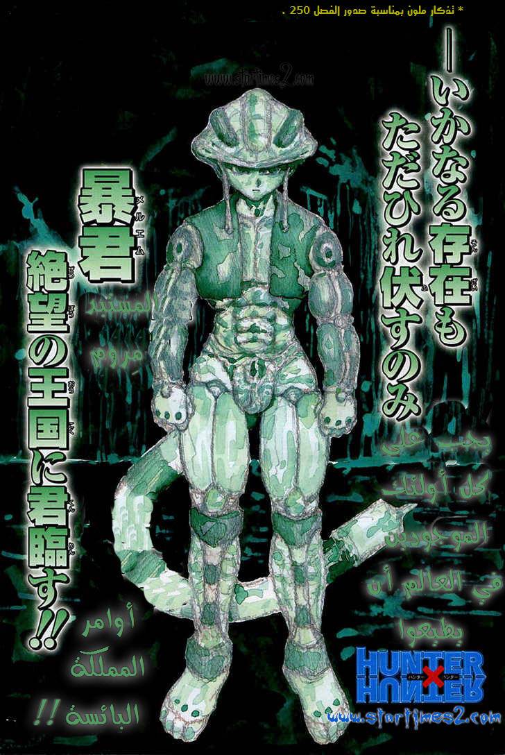 Hunter x Hunter: Chapter 255 - Page 3