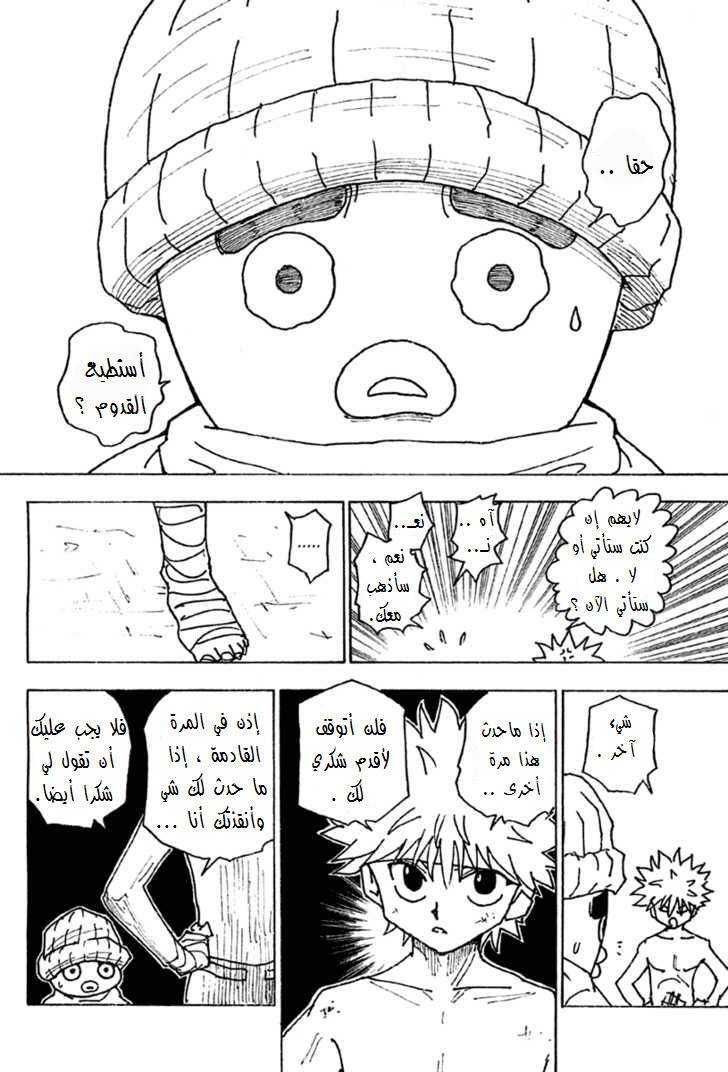 Hunter x Hunter: Chapter 255 - Page 11