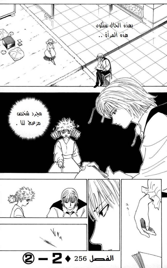 Hunter x Hunter: Chapter 256 - Page 2