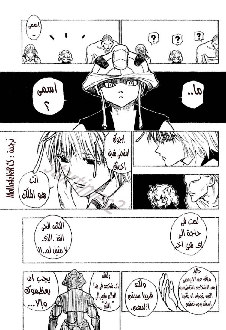 Hunter x Hunter: Chapter 257 - Page 9