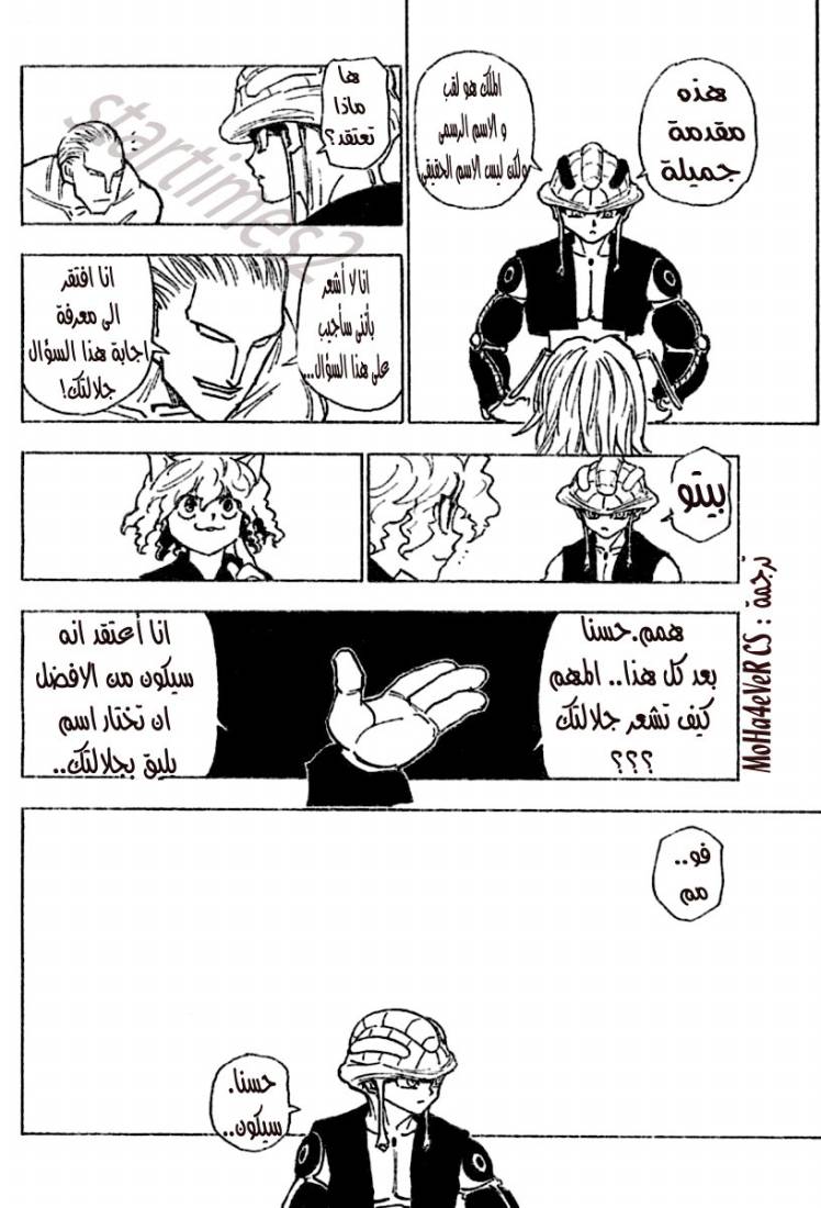 Hunter x Hunter: Chapter 257 - Page 10