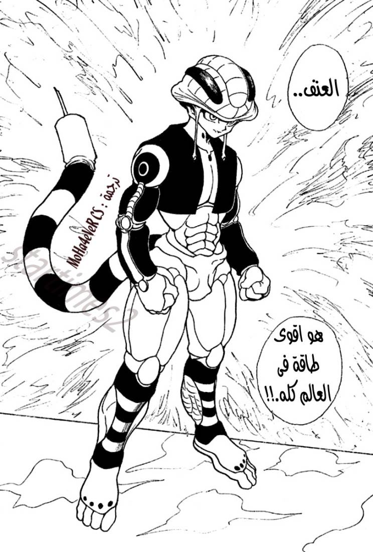 Hunter x Hunter: Chapter 258 - Page 3