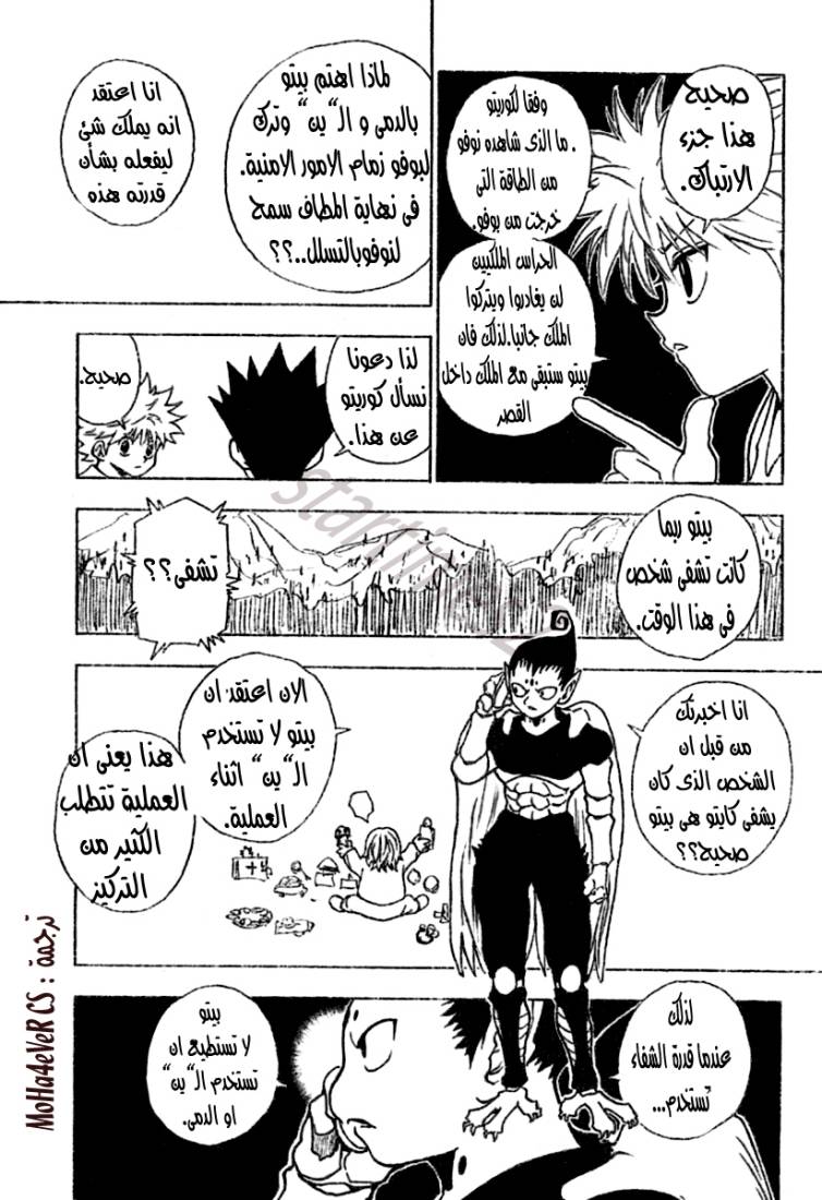 Hunter x Hunter: Chapter 258 - Page 14