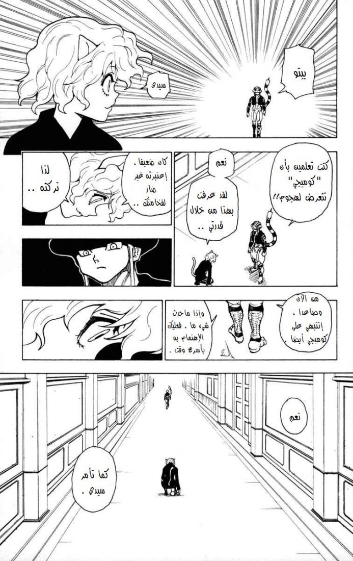 Hunter x Hunter: Chapter 259 - Page 12
