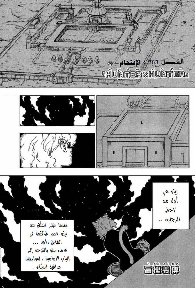 Hunter x Hunter: Chapter 263 - Page 2