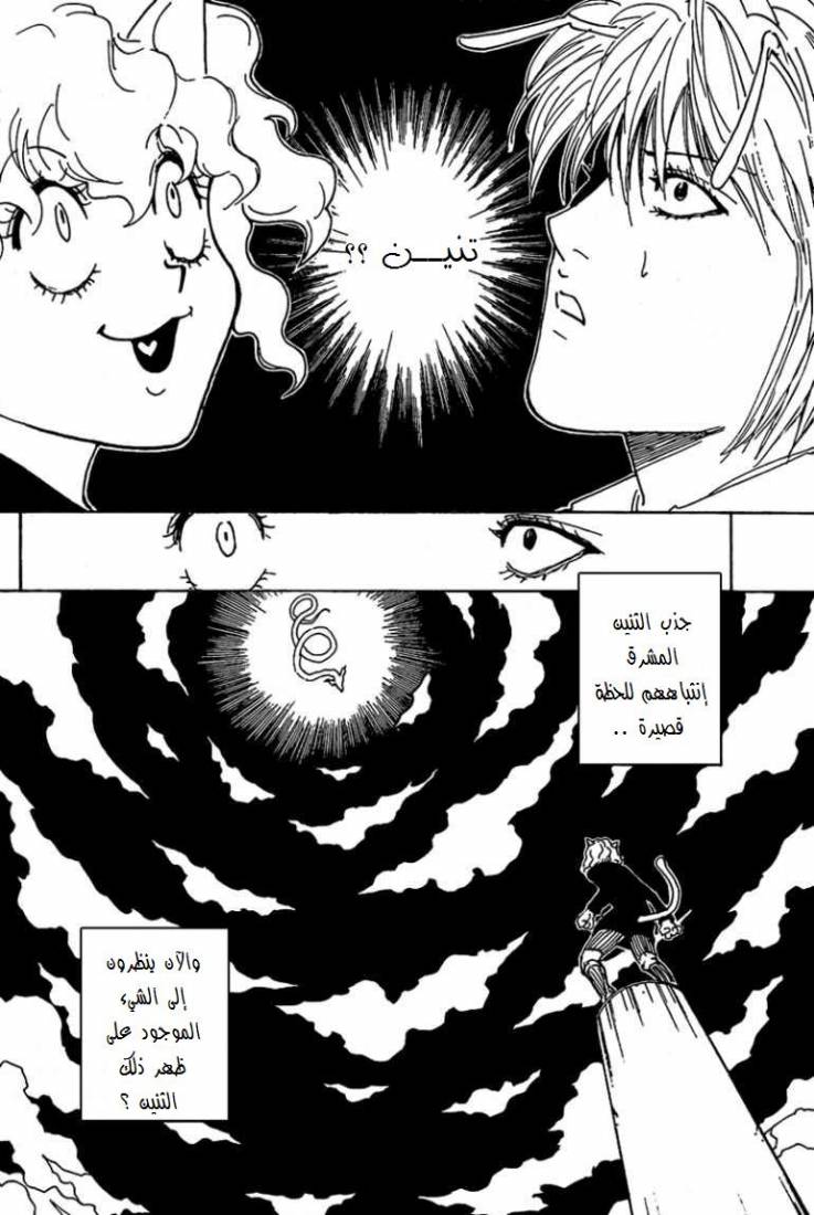 Hunter x Hunter: Chapter 263 - Page 10