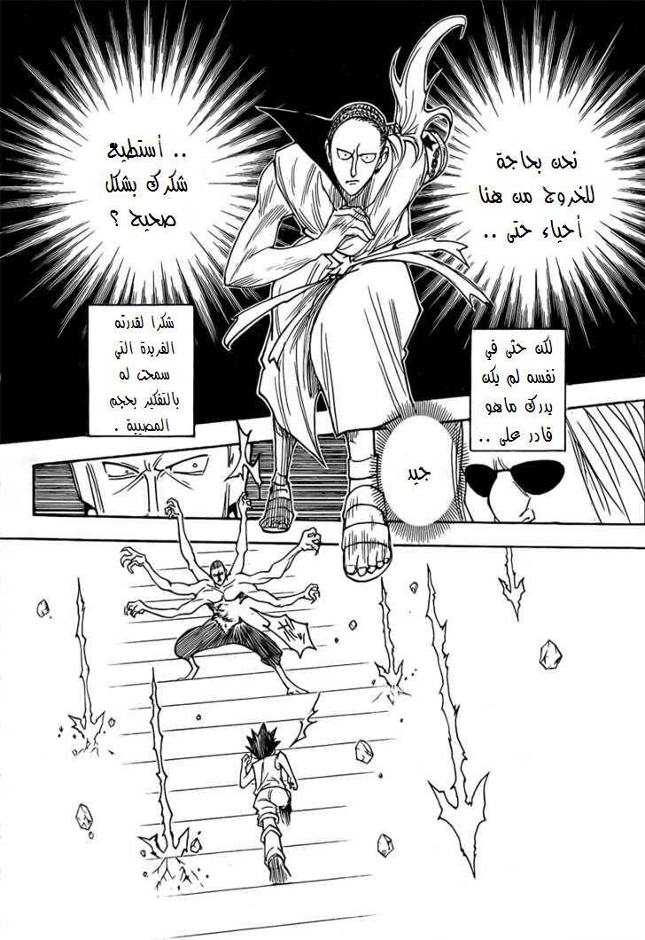 Hunter x Hunter: Chapter 266 - Page 14