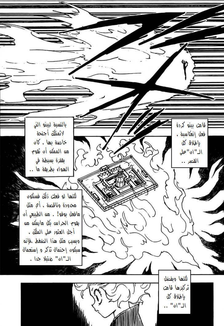 Hunter x Hunter: Chapter 267 - Page 10