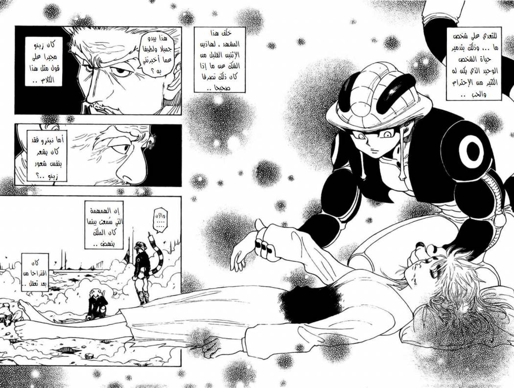 Hunter x Hunter: Chapter 268 - Page 8